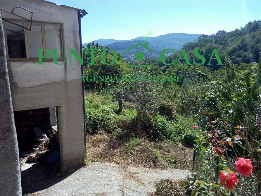 Immagine 16 di Rustico / casale in vendita  in Contrada Vallone Cupo  a Conflenti