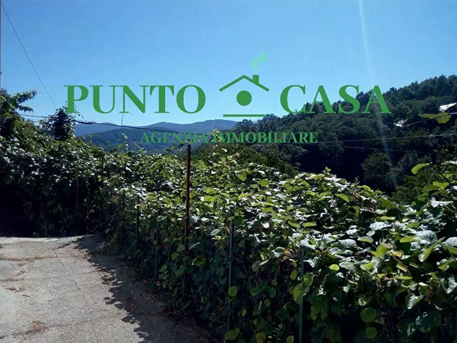 Immagine 17 di Rustico / casale in vendita  in Contrada Vallone Cupo  a Conflenti