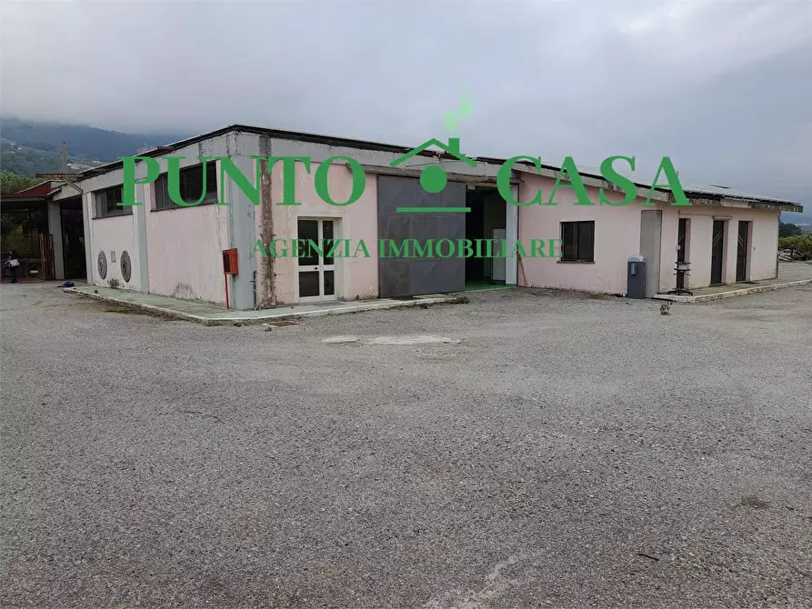 Immagine 1 di Capannone industriale in affitto  in località Furfaro snc a Gizzeria