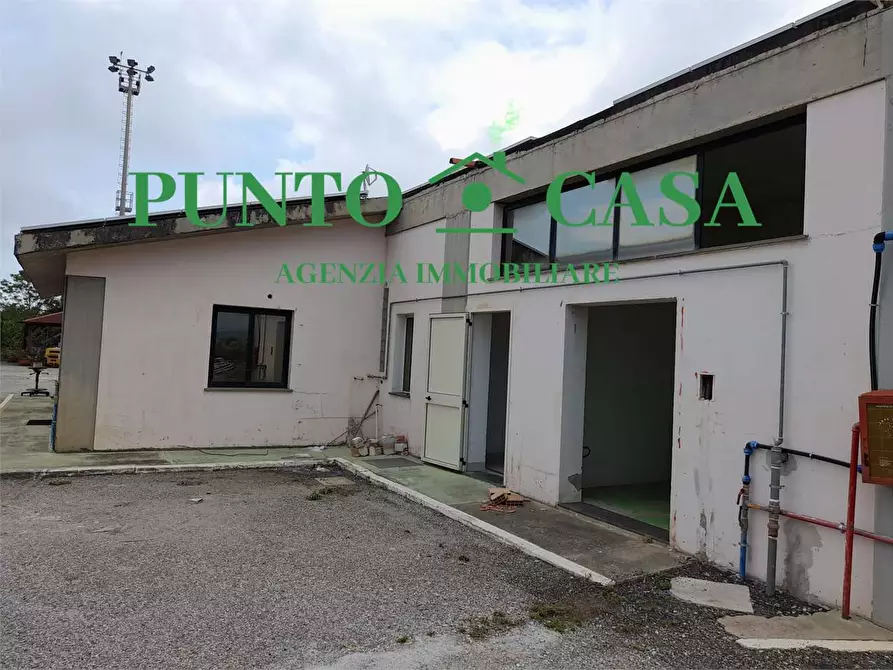 Immagine 11 di Capannone industriale in affitto  in località Furfaro snc a Gizzeria