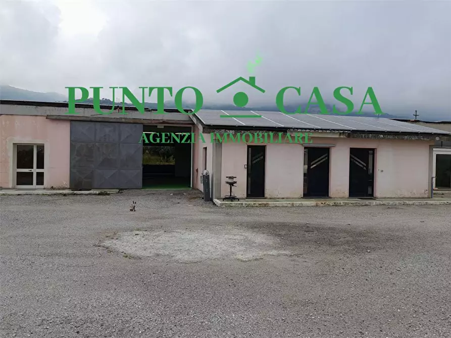 Immagine 12 di Capannone industriale in affitto  in località Furfaro snc a Gizzeria