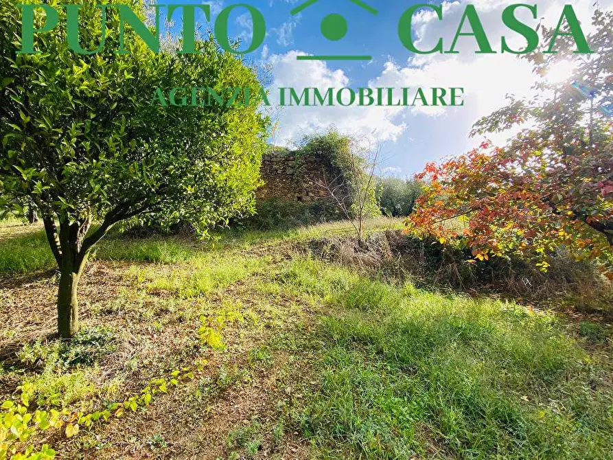Immagine 1 di Terreno agricolo in vendita  in VIA PER PIANO LUPPINO a Lamezia Terme