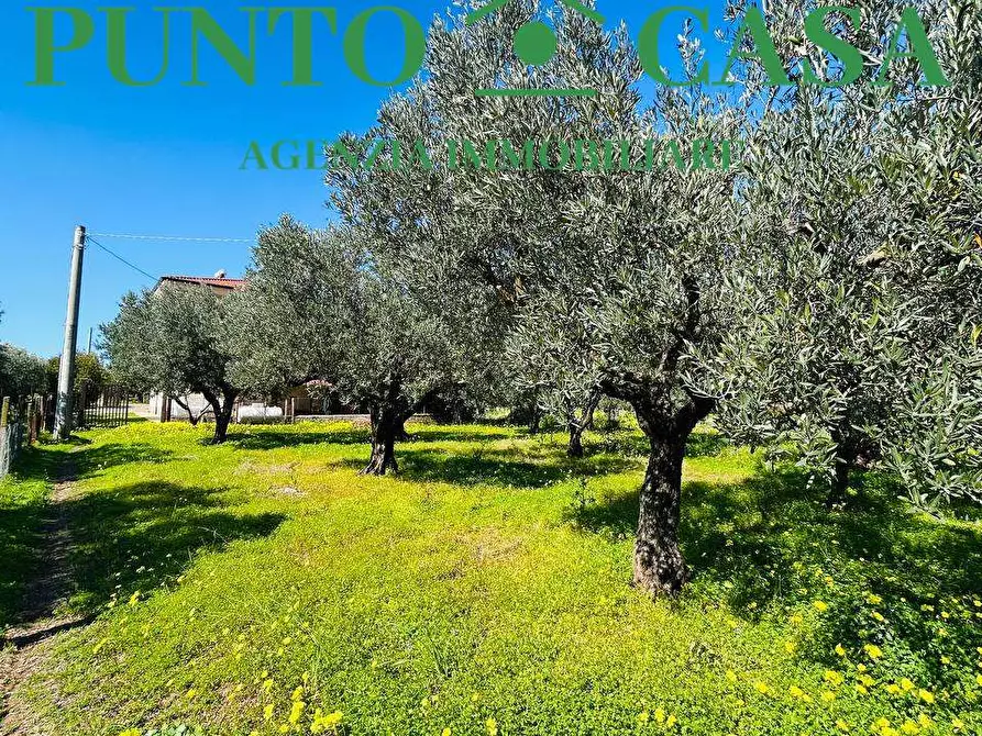 Immagine 25 di Stabile in vendita  in Località Bosco Amatello a Lamezia Terme