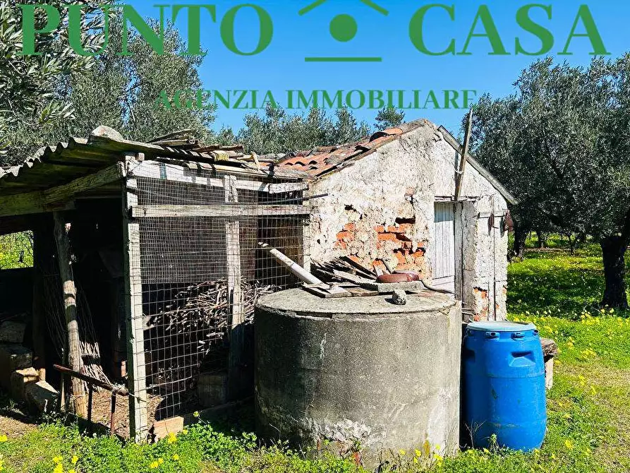 Immagine 27 di Stabile in vendita  in Località Bosco Amatello a Lamezia Terme