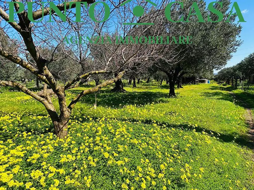 Immagine 29 di Stabile in vendita  in Località Bosco Amatello a Lamezia Terme