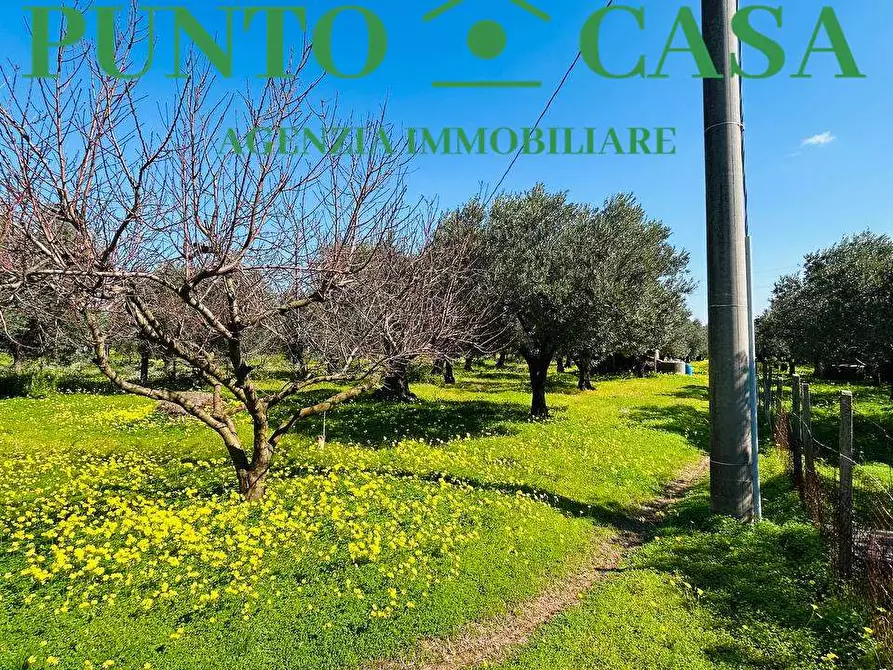 Immagine 30 di Stabile in vendita  in Località Bosco Amatello a Lamezia Terme