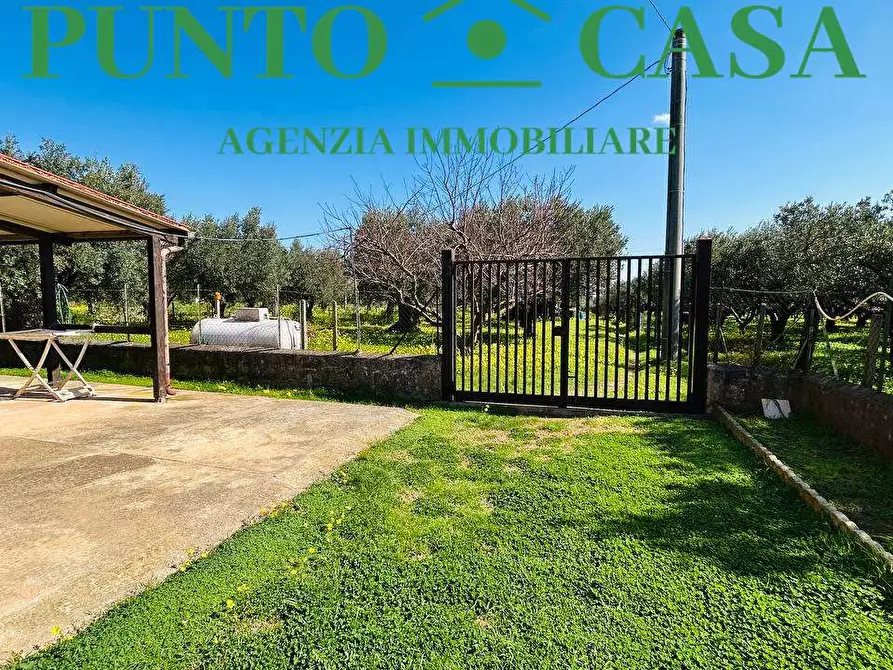 Immagine 31 di Stabile in vendita  in Località Bosco Amatello a Lamezia Terme