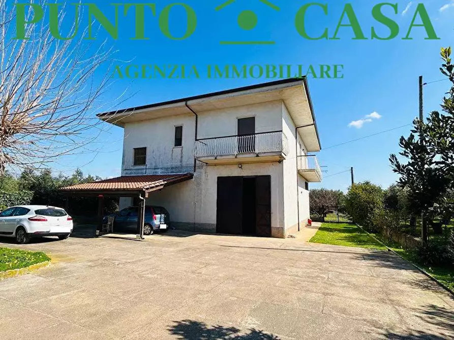 Immagine 38 di Stabile in vendita  in Località Bosco Amatello a Lamezia Terme