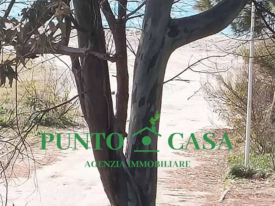 Immagine 41 di Appartamento in vendita  a Lamezia Terme