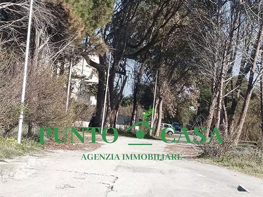 Immagine 68 di Appartamento in vendita  a Lamezia Terme