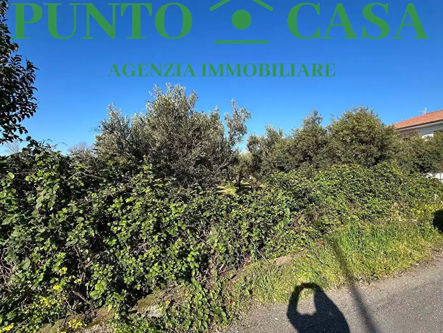 Immagine 4 di Terreno edificabile in vendita  in Via Asia a Lamezia Terme