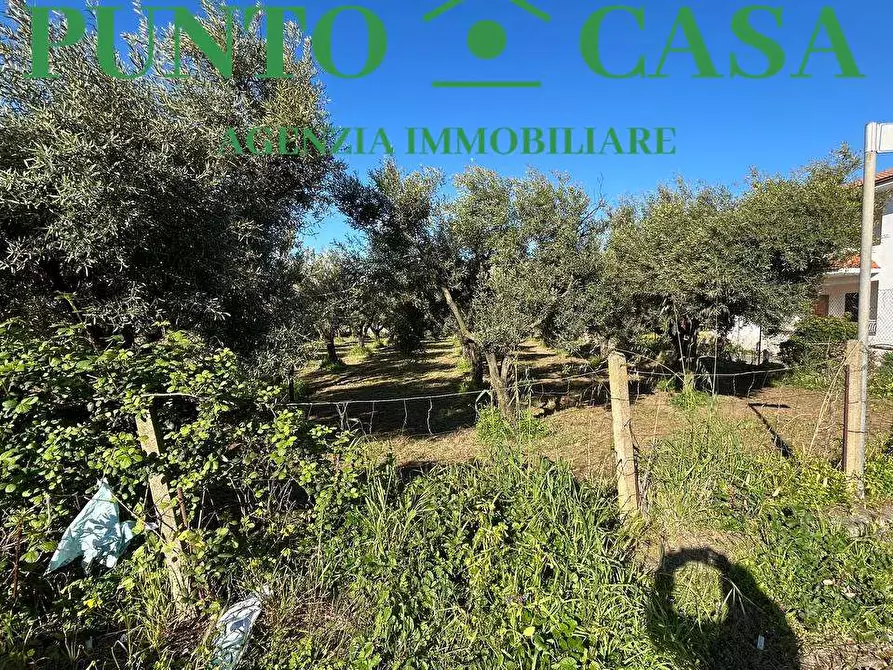 Immagine 5 di Terreno edificabile in vendita  in Via Asia a Lamezia Terme