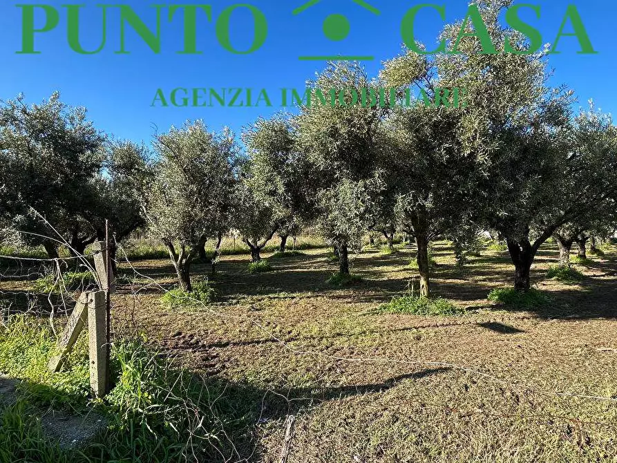 Immagine 1 di Terreno edificabile in vendita  in Via Asia a Lamezia Terme