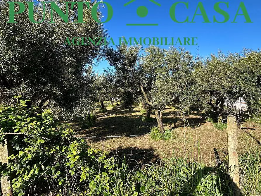 Immagine 6 di Terreno edificabile in vendita  in Via Asia a Lamezia Terme