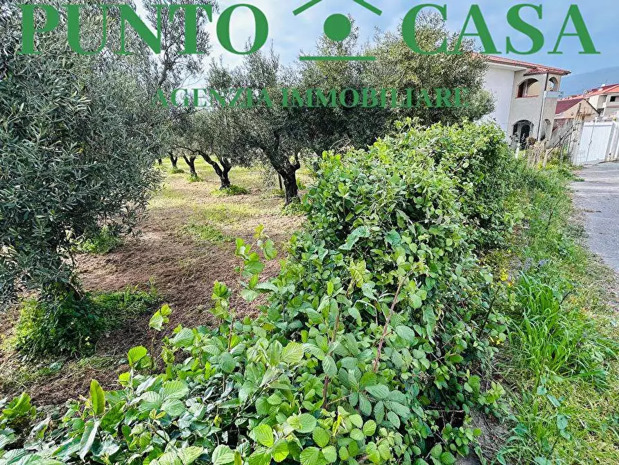 Immagine 8 di Terreno edificabile in vendita  in Via Asia a Lamezia Terme