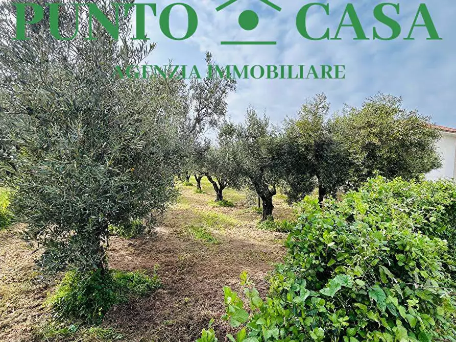 Immagine 9 di Terreno edificabile in vendita  in Via Asia a Lamezia Terme