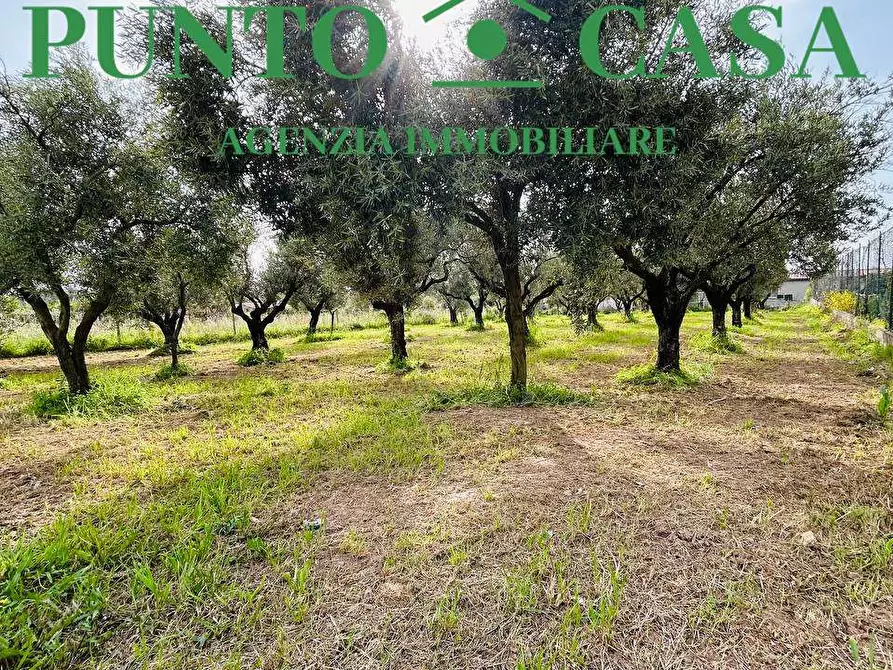 Immagine 10 di Terreno edificabile in vendita  in Via Asia a Lamezia Terme