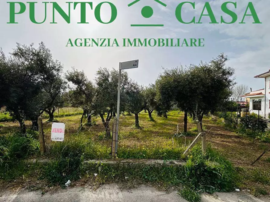 Immagine 12 di Terreno edificabile in vendita  in Via Asia a Lamezia Terme