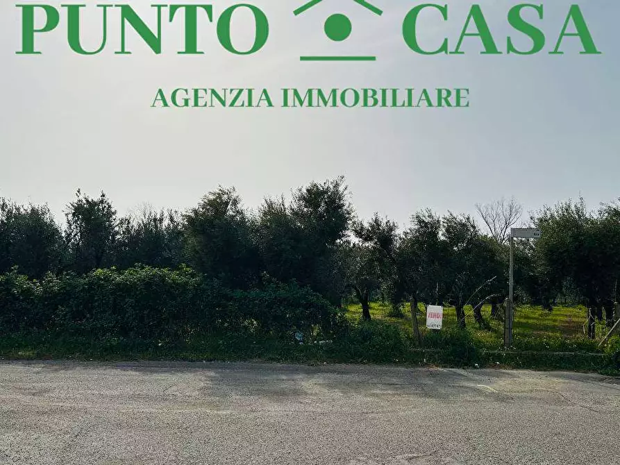 Immagine 14 di Terreno edificabile in vendita  in Via Asia a Lamezia Terme