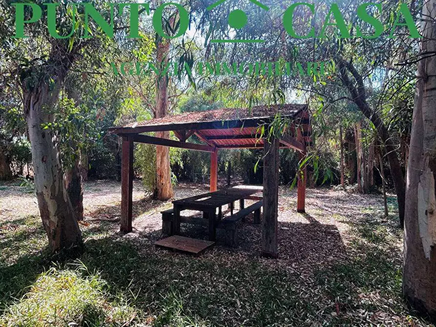 Immagine 13 di Appartamento in vendita  in Ginepri a Lamezia Terme