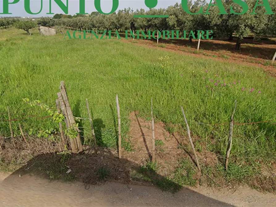 terreno agricolo in vendita a Lamezia Terme in zona Nicastro