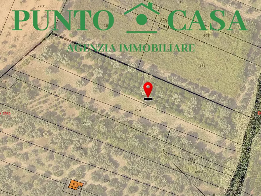 Immagine 3 di Terreno agricolo in vendita  in Via Delle Rose a Lamezia Terme