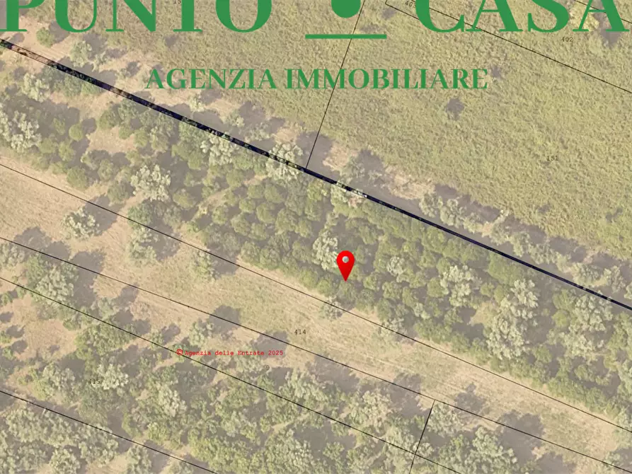 Immagine 16 di Terreno agricolo in vendita  in Via Delle Rose a Lamezia Terme