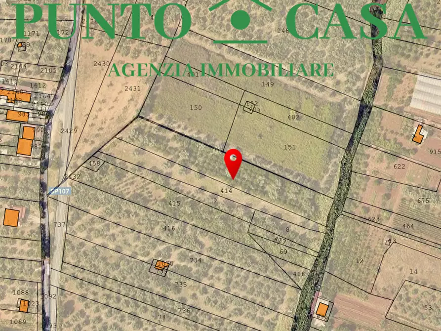 Immagine 17 di Terreno agricolo in vendita  in Via Delle Rose a Lamezia Terme