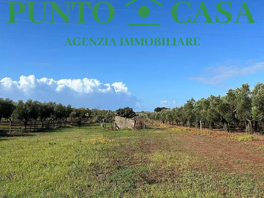 terreno agricolo in vendita a Lamezia Terme in zona Nicastro