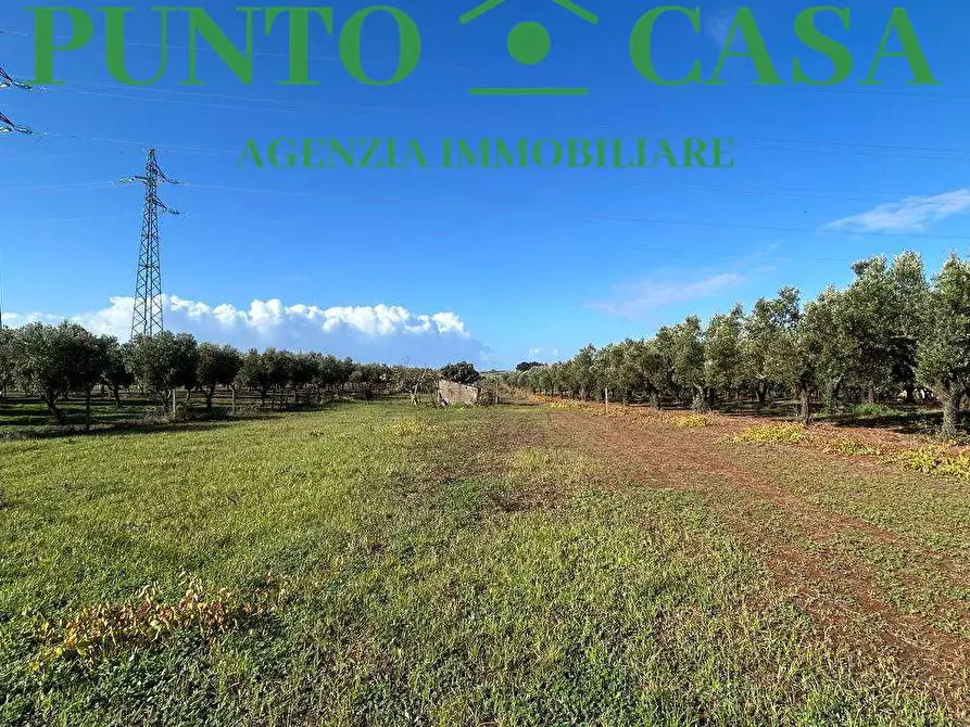 Immagine 2 di Terreno agricolo in vendita  in Via Raoul Morelli a Lamezia Terme