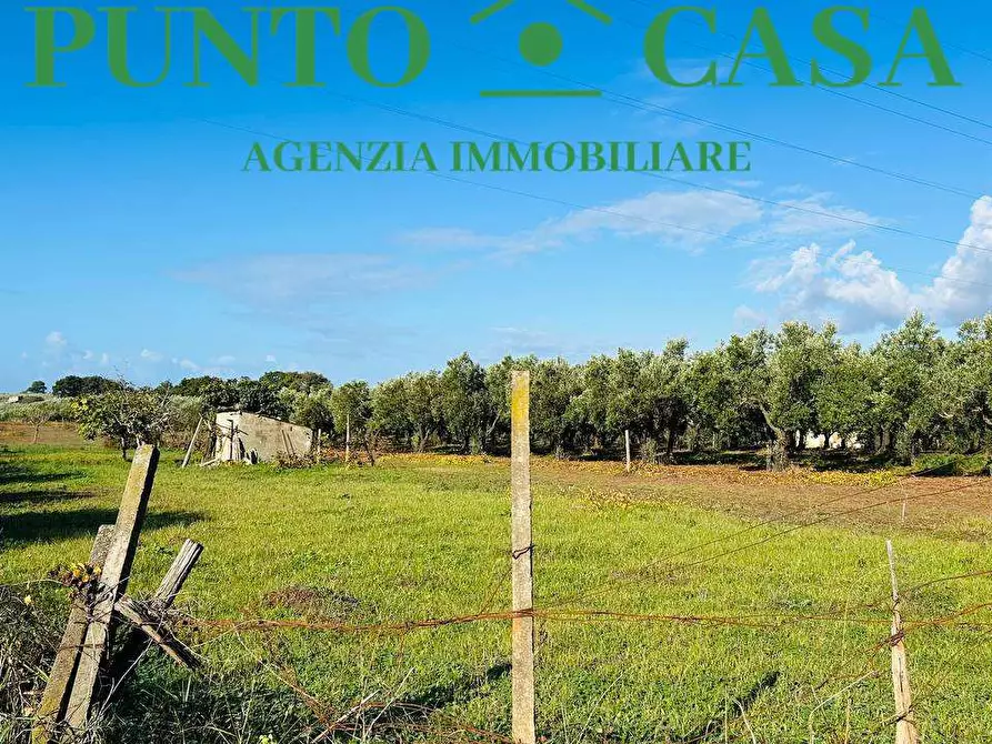 Immagine 3 di Terreno agricolo in vendita  in Via Raoul Morelli a Lamezia Terme