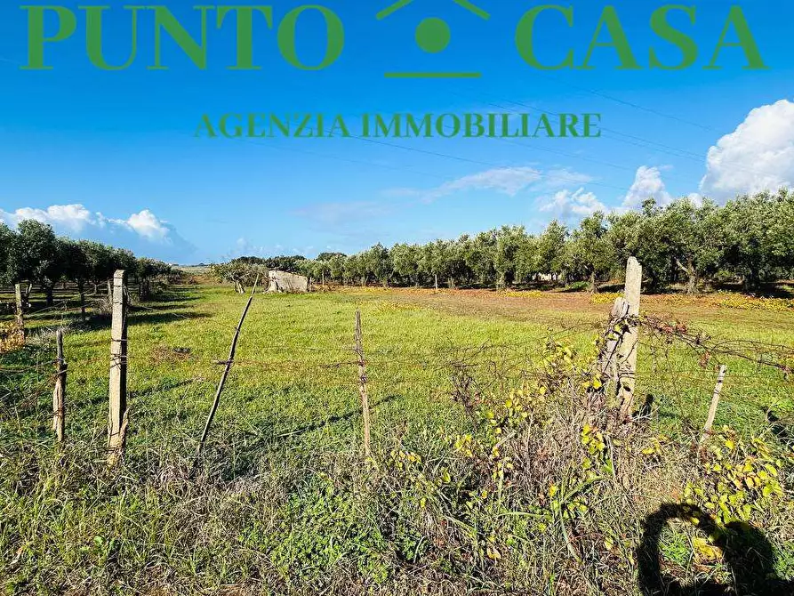 Immagine 5 di Terreno agricolo in vendita  in Via Raoul Morelli a Lamezia Terme