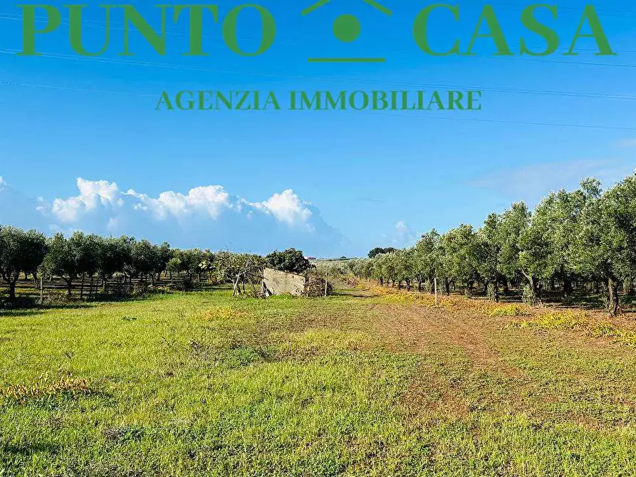 Immagine 6 di Terreno agricolo in vendita  in Via Raoul Morelli a Lamezia Terme