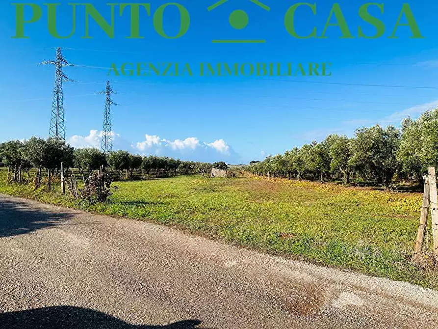 Immagine 7 di Terreno agricolo in vendita  in Via Raoul Morelli a Lamezia Terme