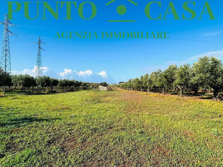 Immagine 8 di Terreno agricolo in vendita  in Via Raoul Morelli a Lamezia Terme