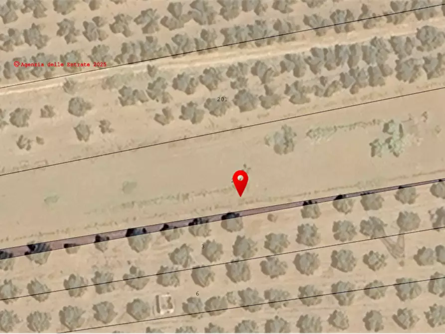 Immagine 9 di Terreno agricolo in vendita  in Via Raoul Morelli a Lamezia Terme