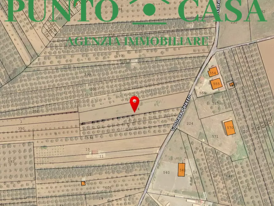 Immagine 10 di Terreno agricolo in vendita  in Via Raoul Morelli a Lamezia Terme