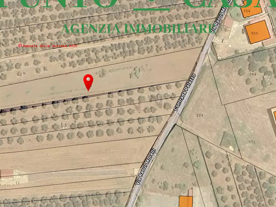 Immagine 11 di Terreno agricolo in vendita  in Via Raoul Morelli a Lamezia Terme