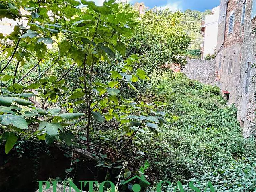 Immagine 11 di Casa indipendente in vendita  in Via Cavour a Lamezia Terme