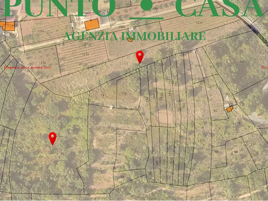 Immagine 2 di Terreno agricolo in vendita  in VIA MELCHIORRE RUSSO 17 a Lamezia Terme