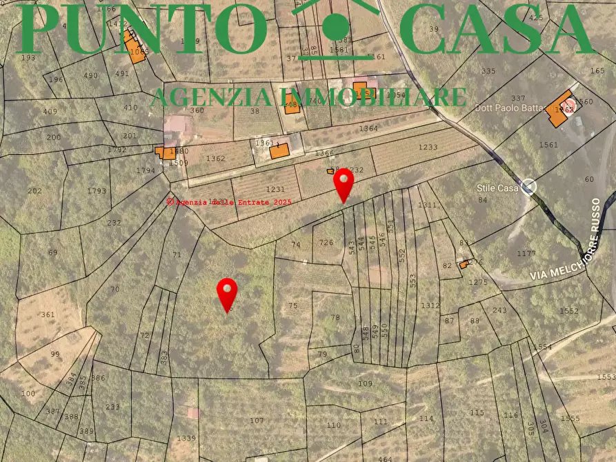 Immagine 12 di Terreno agricolo in vendita  in VIA MELCHIORRE RUSSO 17 a Lamezia Terme