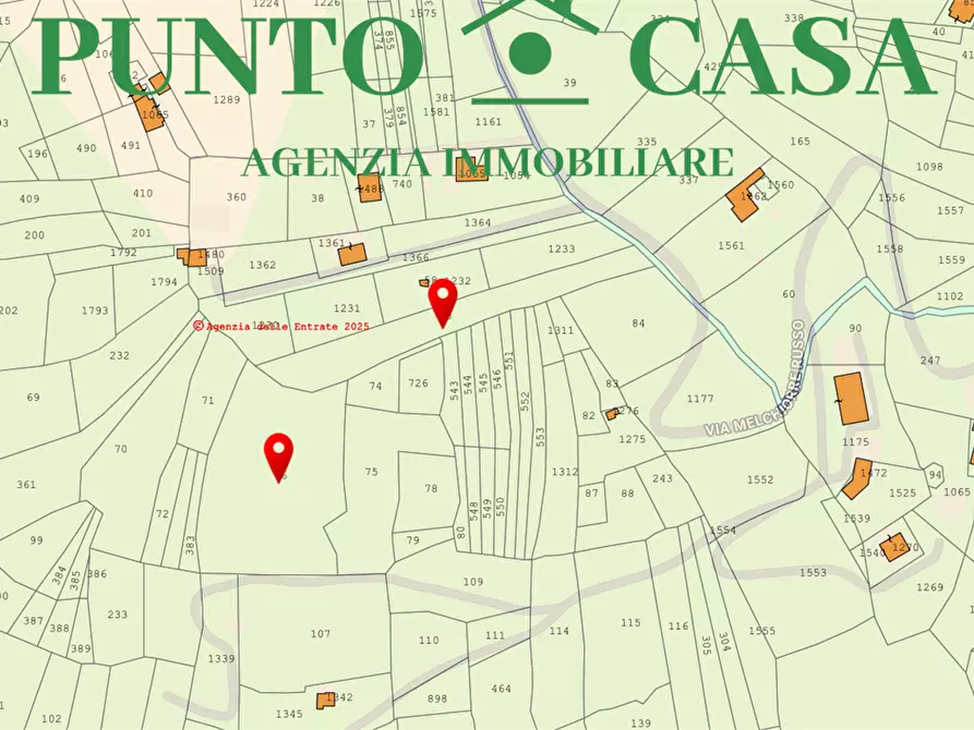 Immagine 13 di Terreno agricolo in vendita  in VIA MELCHIORRE RUSSO 17 a Lamezia Terme