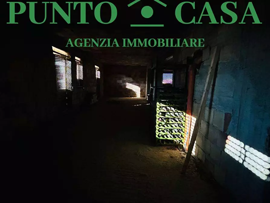 Immagine 39 di Stabile in vendita  in Via Papa Luciani  39 a San Pietro A Maida