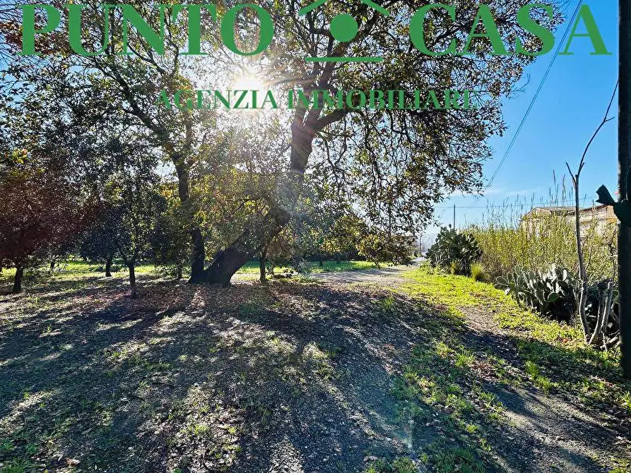 Immagine 8 di Terreno edificabile in vendita  in Via Guido Dorso a Lamezia Terme