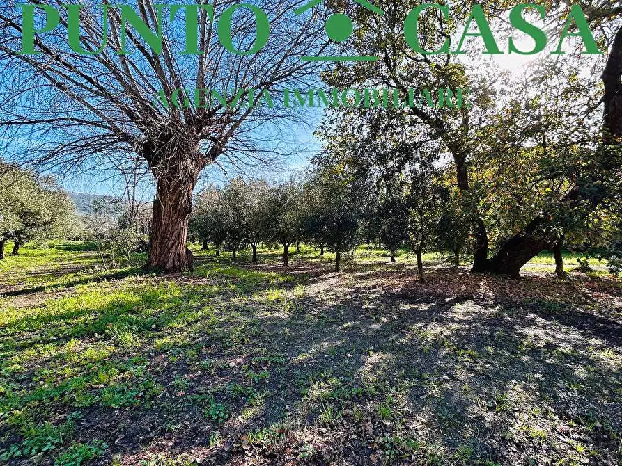 Immagine 4 di Terreno edificabile in vendita  in Via Guido Dorso a Lamezia Terme