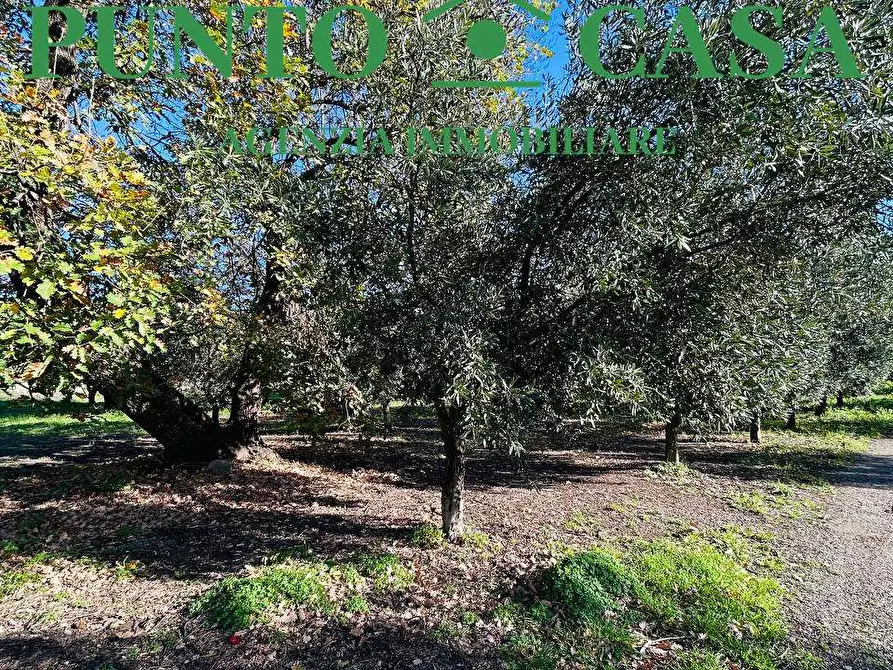 Immagine 2 di Terreno edificabile in vendita  in Via Guido Dorso a Lamezia Terme