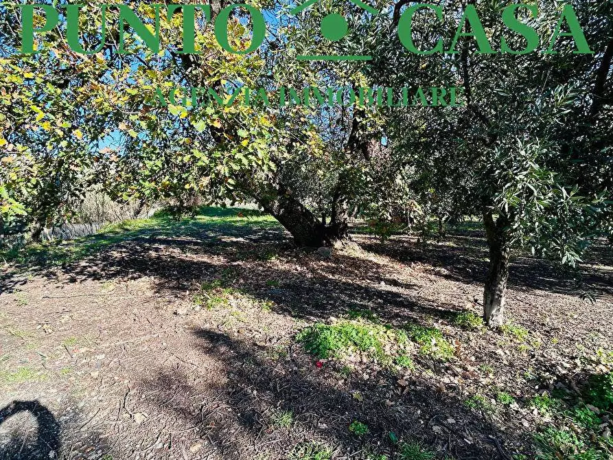 Immagine 9 di Terreno edificabile in vendita  in Via Guido Dorso a Lamezia Terme