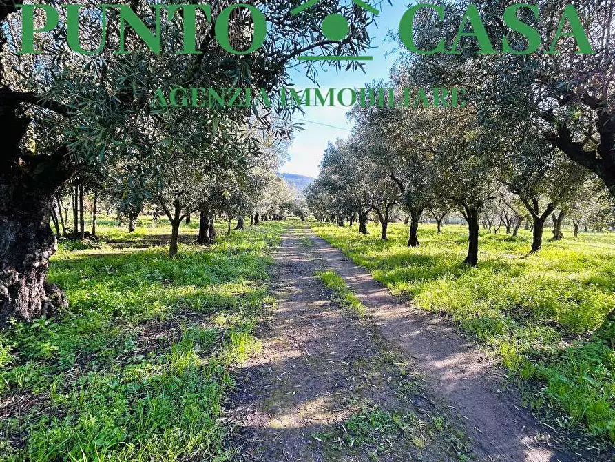 Immagine 5 di Terreno edificabile in vendita  in Via Guido Dorso a Lamezia Terme