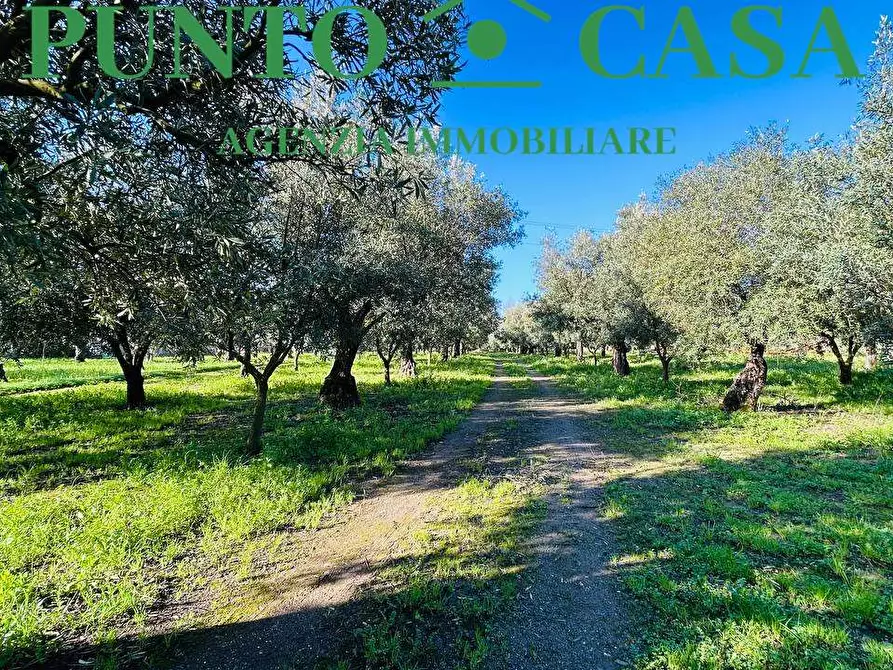 Immagine 6 di Terreno edificabile in vendita  in Via Guido Dorso a Lamezia Terme