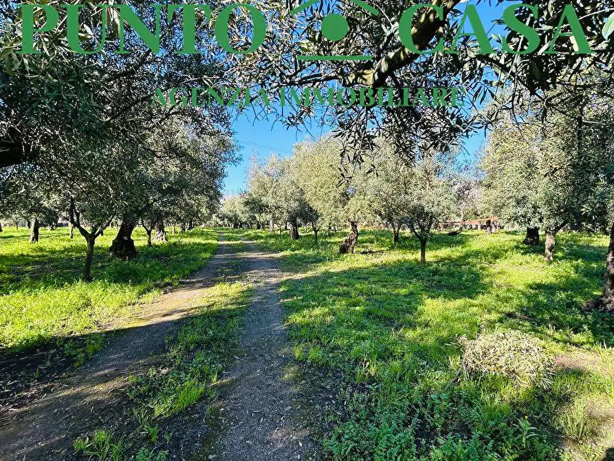 Immagine 1 di Terreno edificabile in vendita  in Via Guido Dorso a Lamezia Terme